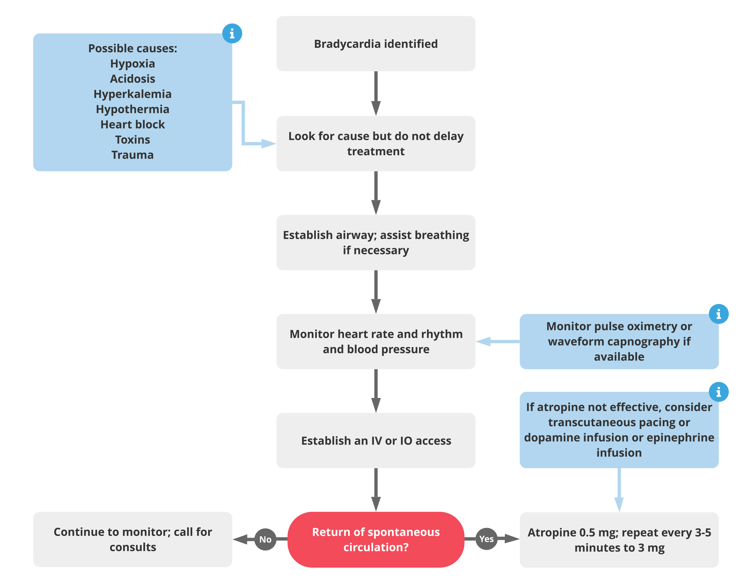 Acls Bradycardia Algorithm Acls Medical Training