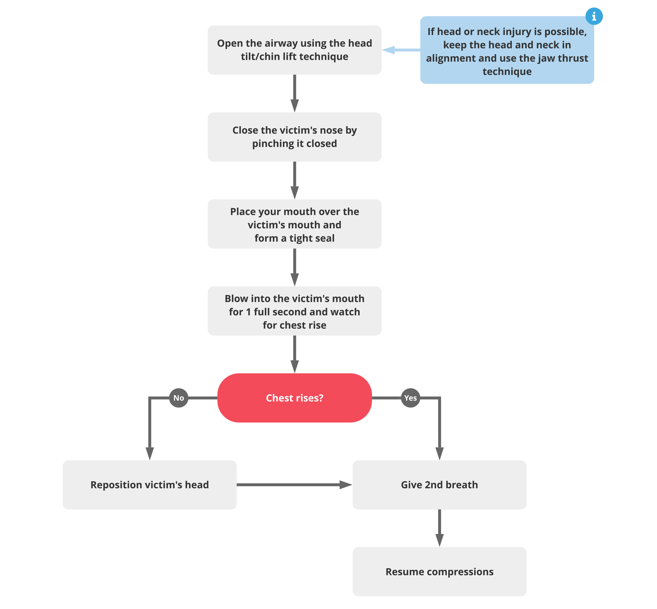 bls-rescue-breathing-adult-or-child-algorithm-acls-medical-training